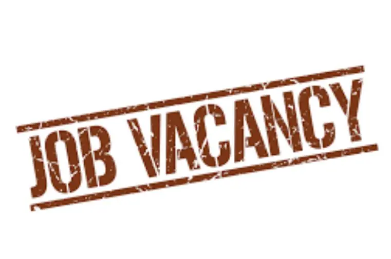 Renmoney Product Manager Job 2026