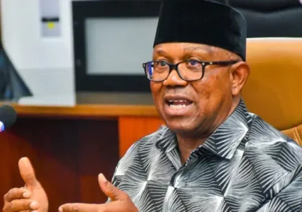 Peter Obi credentials