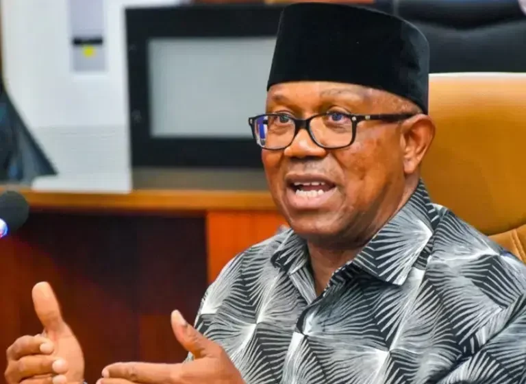 Peter Obi credentials