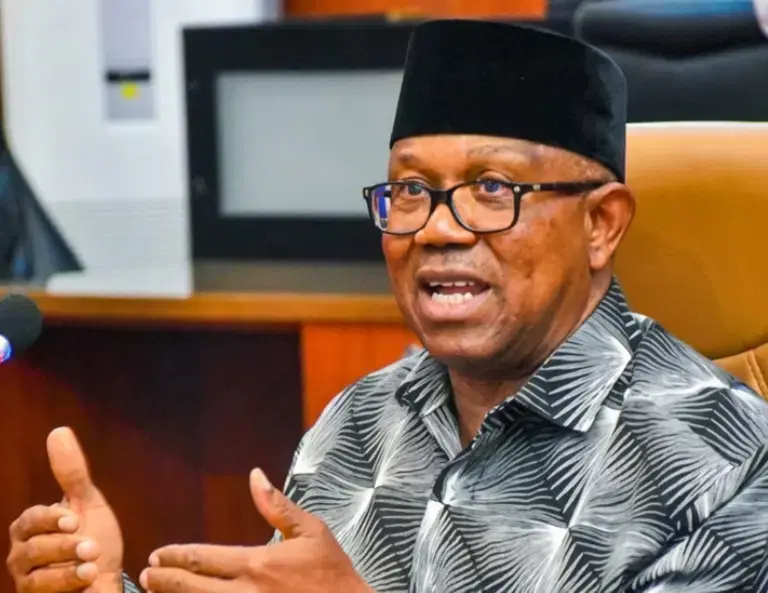 Peter Obi credentials