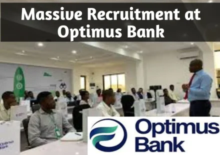 Optimus Bank Recruitment 2026